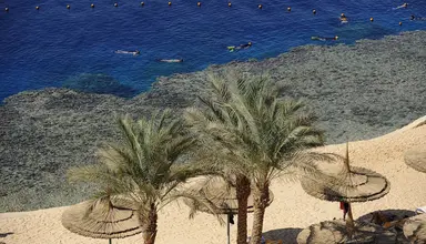 Reef Oasis Beach Resort