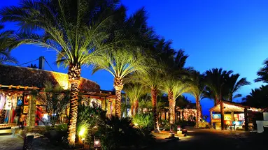 Reef Oasis Beach Resort