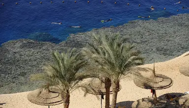 Reef Oasis Beach Resort