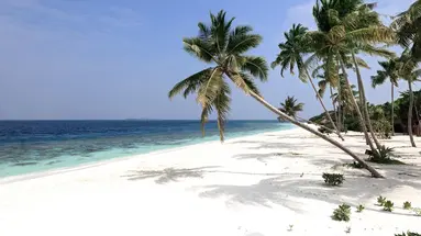 Reethi Faru Resort