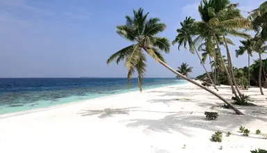Reethi Faru Resort