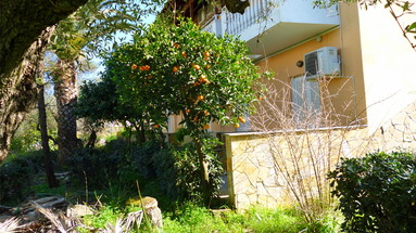 Regina Studios