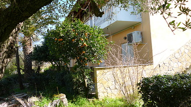 Regina Studios