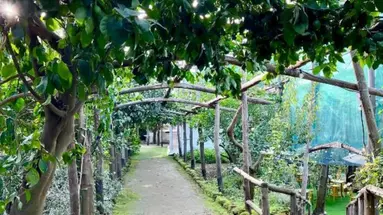 Relais Correale