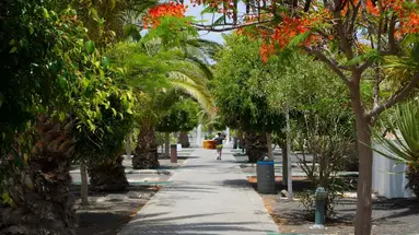 Relaxia Lanzasur Club