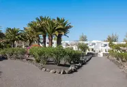 Relaxia Olivina Lanzarote