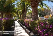 Relaxia Olivina Lanzarote