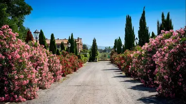 Residence Borgo Verde