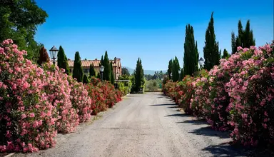 Residence Borgo Verde