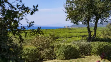 Residence Park Solemaremma