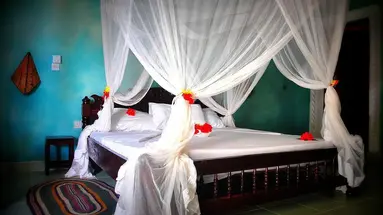 Resort Coral Reef
