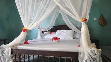 Resort Coral Reef