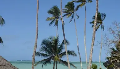 Resort Coral Reef