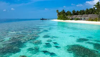 Resort Kuredhivaru