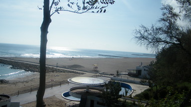 Resort Steaua de Mare - Delfinul