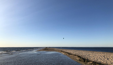 Rewa