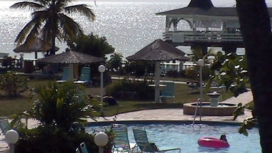 Rex Halcyon Cove