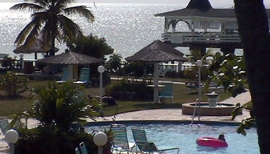 Rex Halcyon Cove