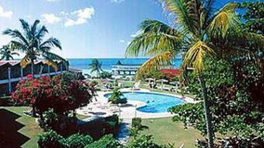 Rex Halcyon Cove