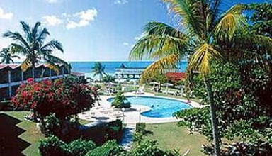 Rex Halcyon Cove