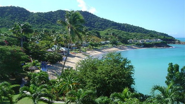 Rex Halcyon Cove