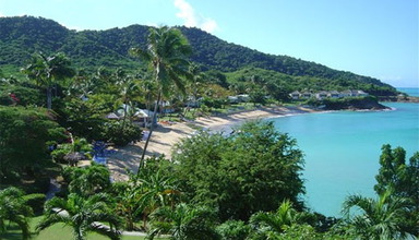 Rex Halcyon Cove