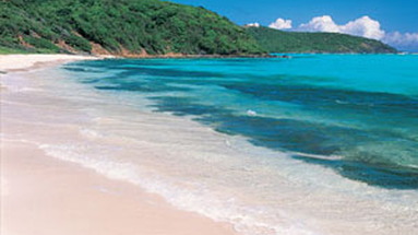 Rex Halcyon Cove