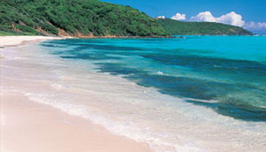 Rex Halcyon Cove