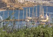 Rhenia