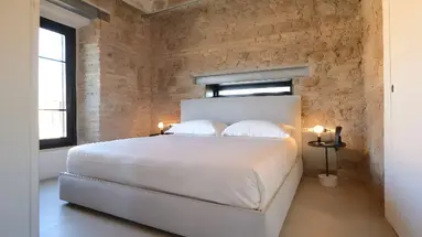 Rhinoceros Roma