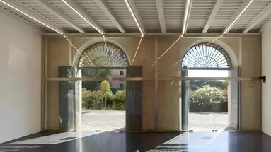 Rhinoceros Roma