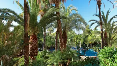 Ria Park & Spa