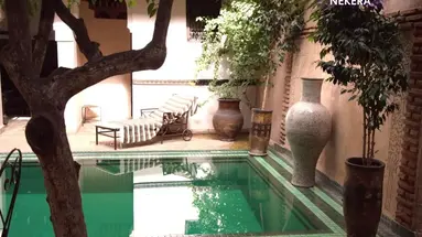 Riad Palmier