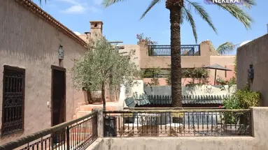 Riad Palmier
