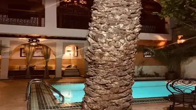 Riad Palmier