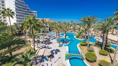 Riadh Palms