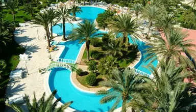 Riadh Palms