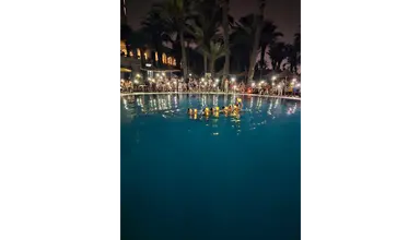 Riadh Palms