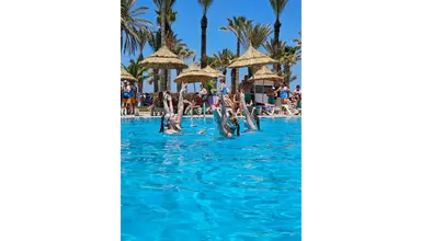 Riadh Palms