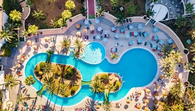 Riadh Palms