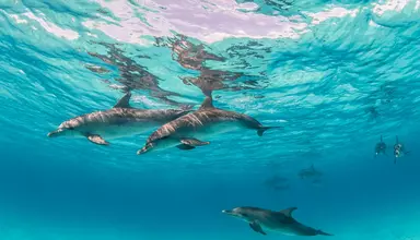 Rihiveli Maldives