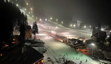 Rila Borovec