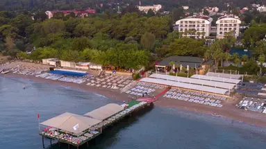 Ring Beach