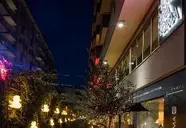 Ripa