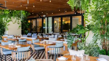 Ritz Carlton South Beach