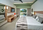 Riu Flamingos