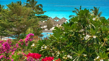 Riu Jambo