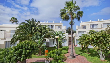 Riu Oliva Resort