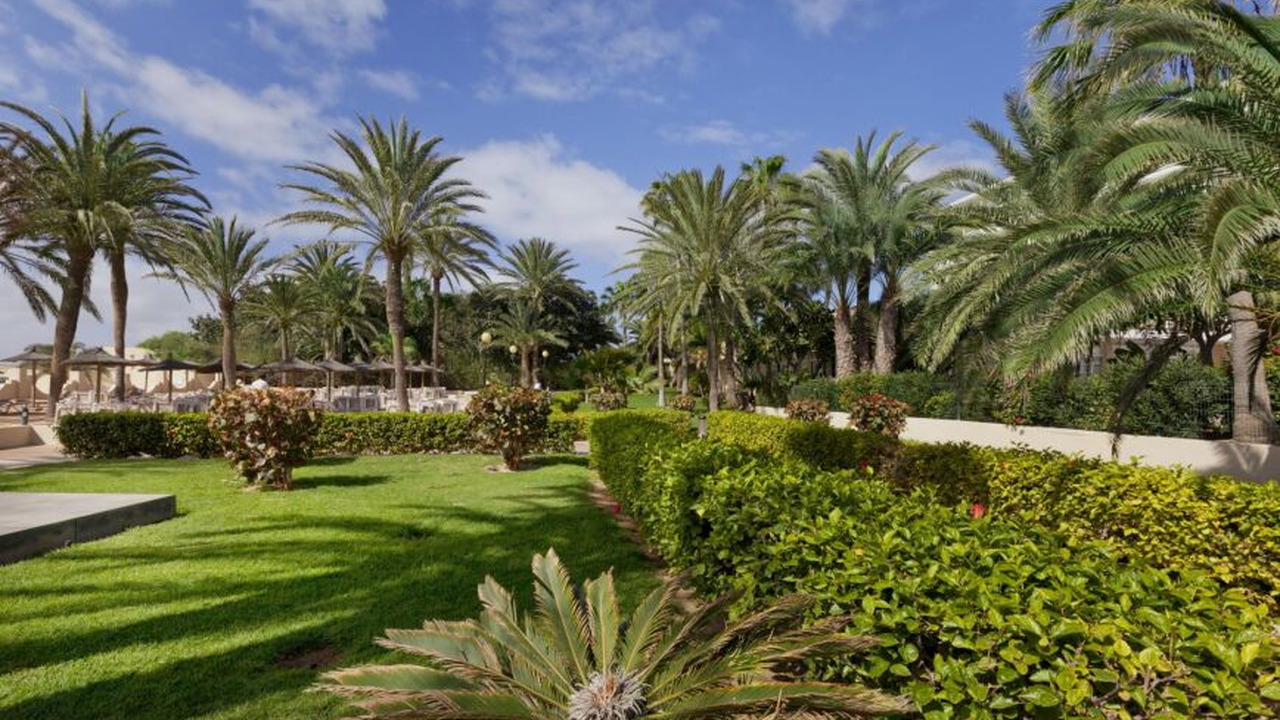 Riu Oliva Village
