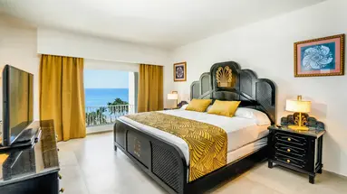 Riu Vallarta